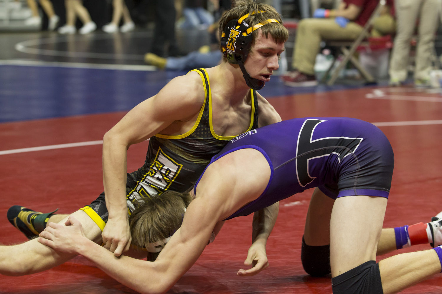 State Wrestling Class 1-A-09